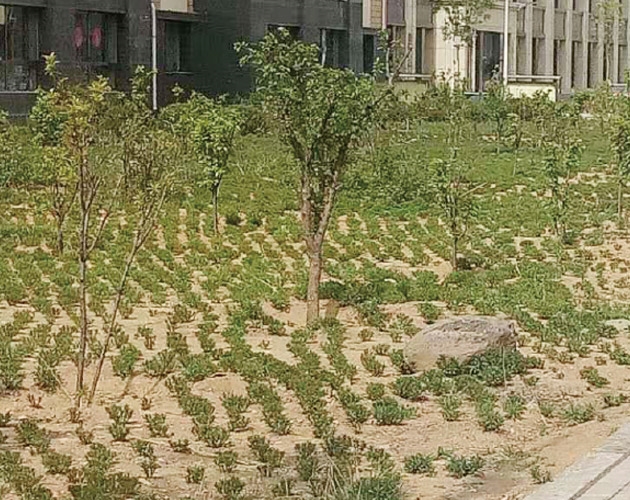 ��ͷ�ﻧ��ˢ��,סլ���������辶��԰���̻�����������